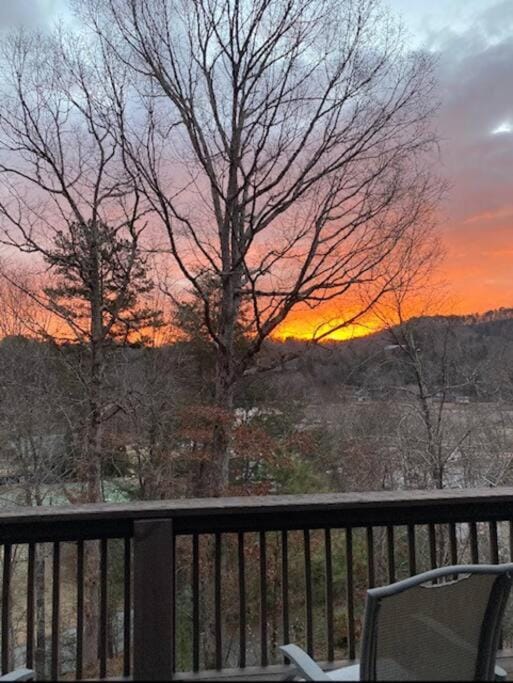 Lure Me Inn - WALK to all resort amenities House in Lake Lure