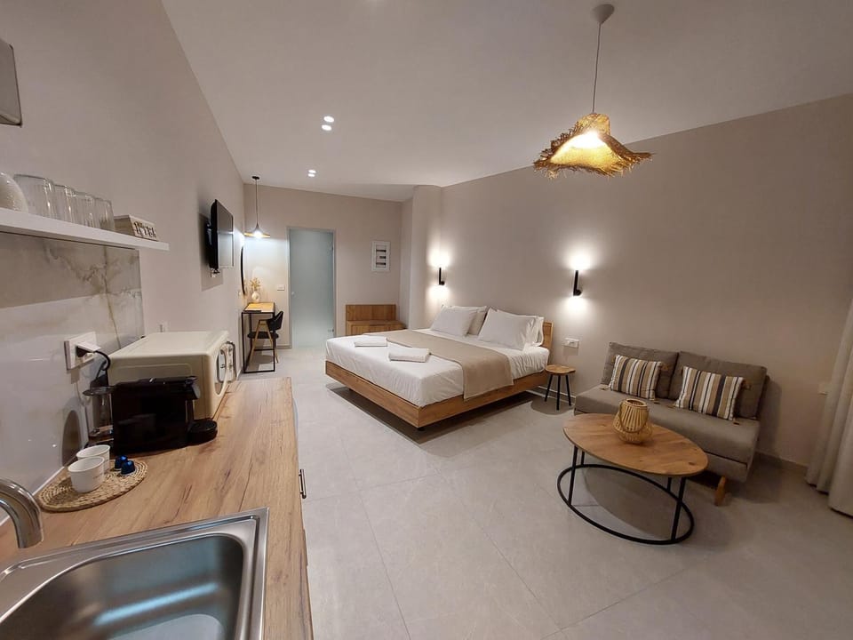TV and multimedia, Kitchen or kitchenette, Living room, Photo of the whole room, Seating area, Bedroom