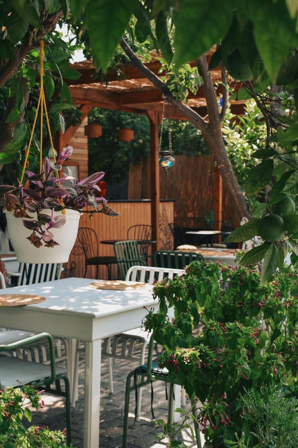 Day, Garden, Garden view