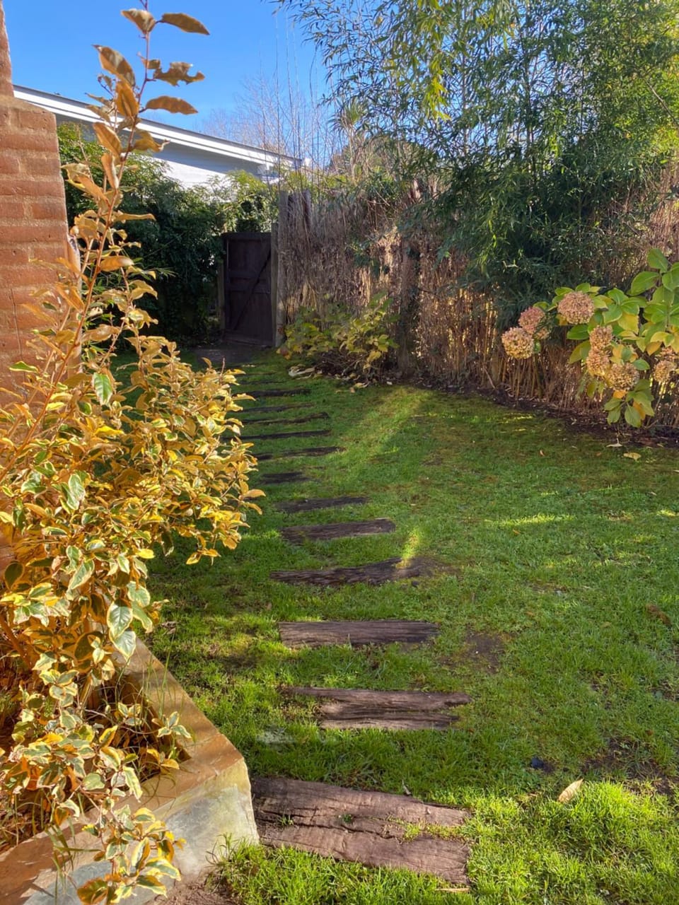 Garden view