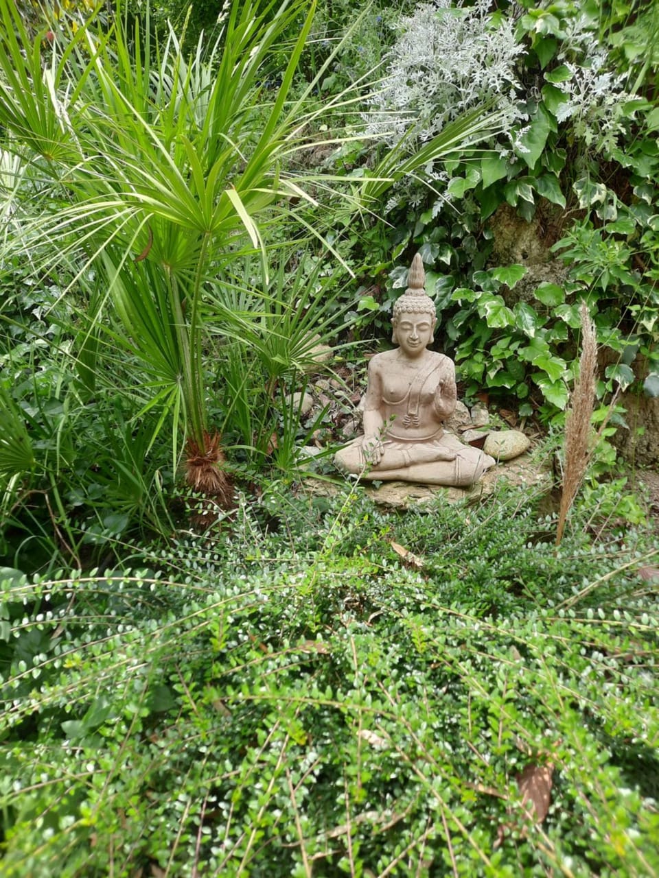 Garden, Garden
