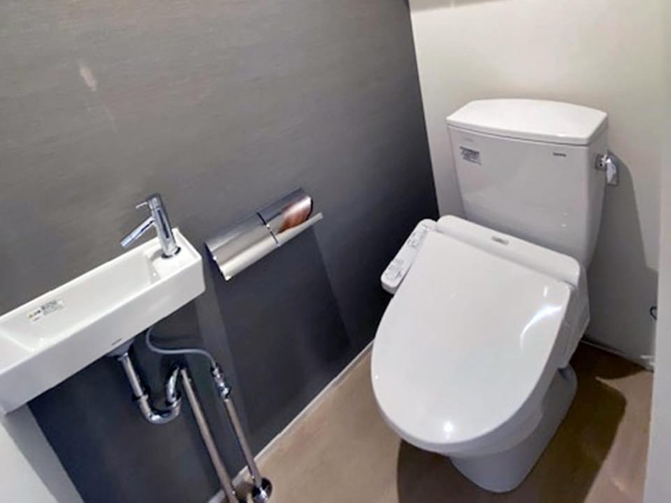 Toilet, Photo of the whole room