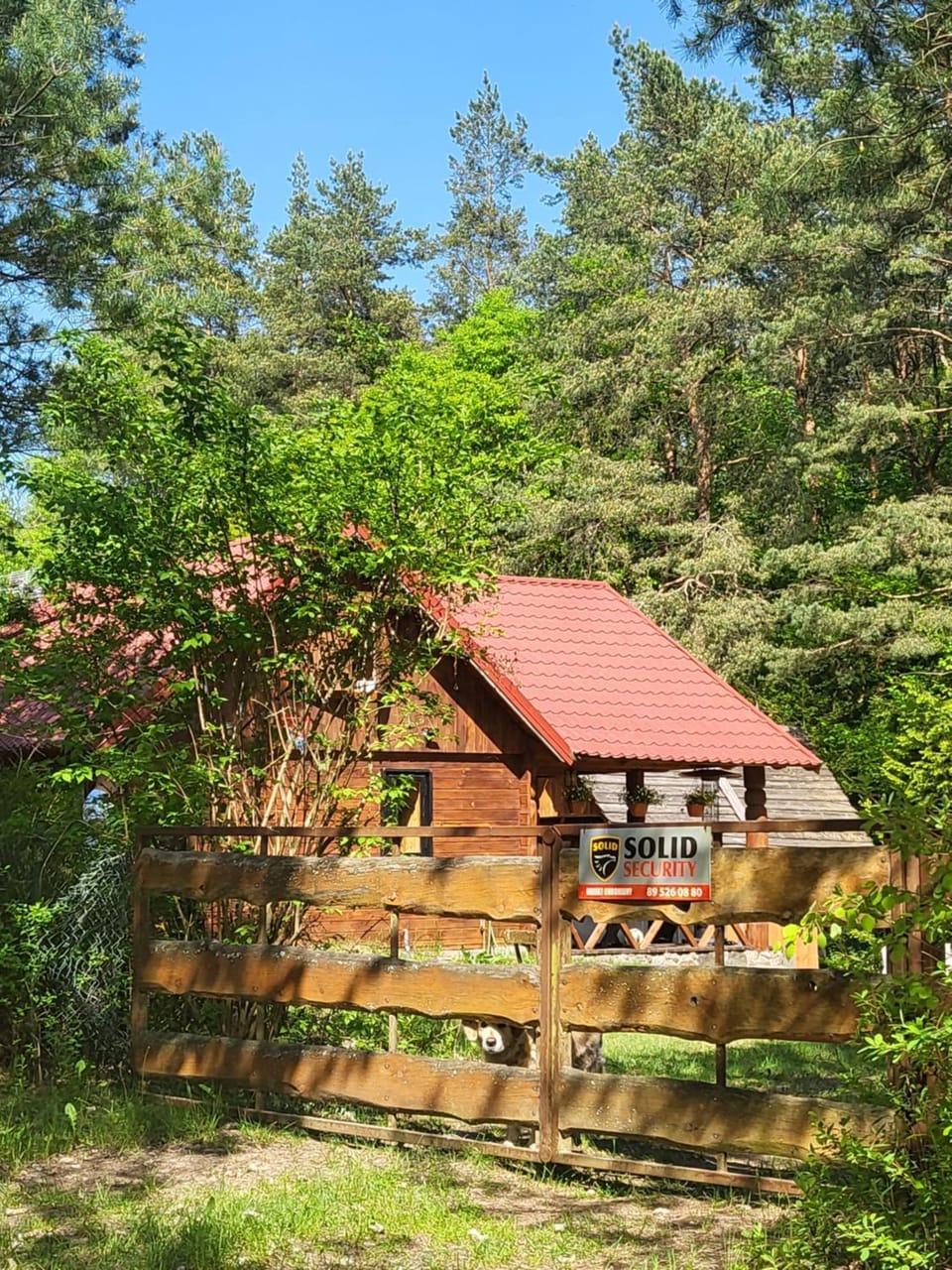 Duży domek przy lesie House in Poland