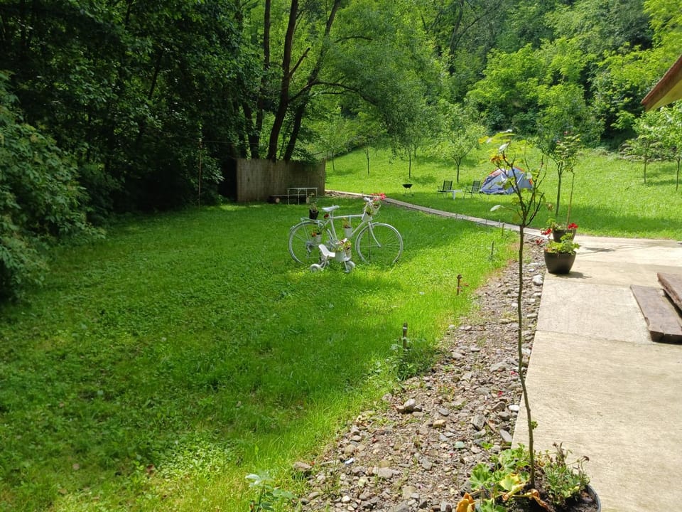 Spring, Day, Natural landscape, Garden, Garden view