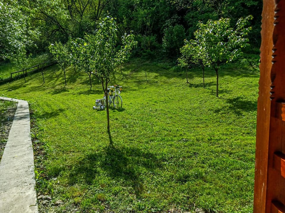 Natural landscape, Garden view