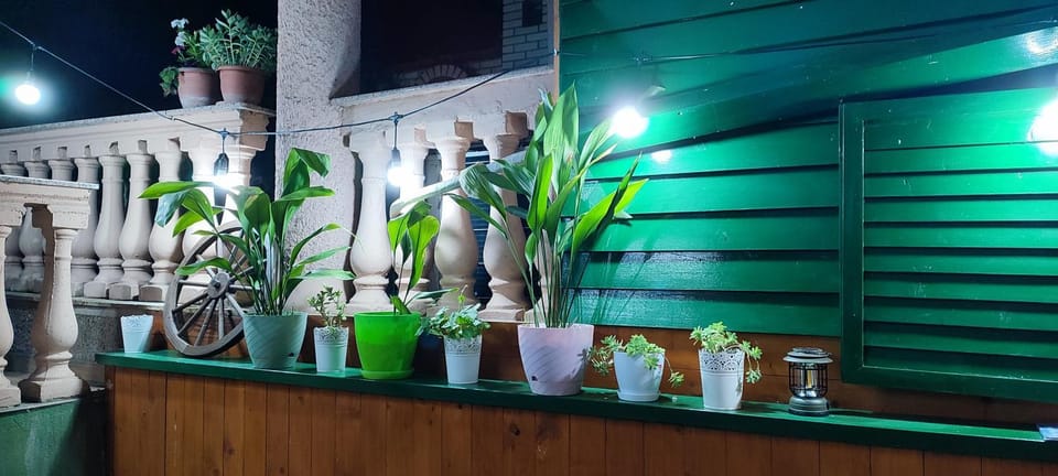 Patio, Garden