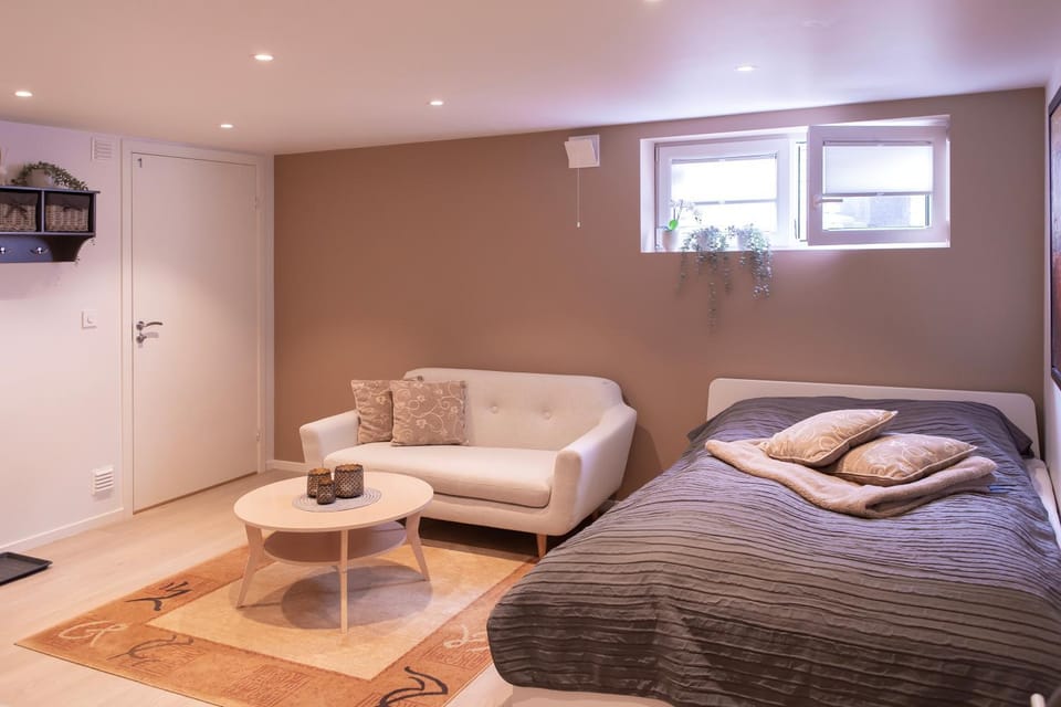 Bed, TV and multimedia, Living room, Photo of the whole room, Seating area, Bedroom