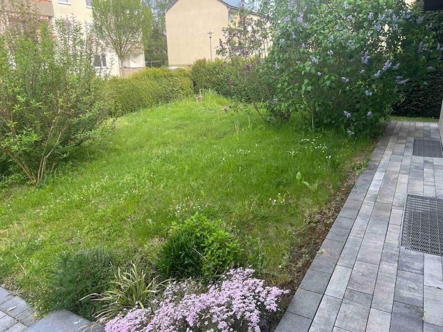 Natural landscape, Garden, Garden, Garden view