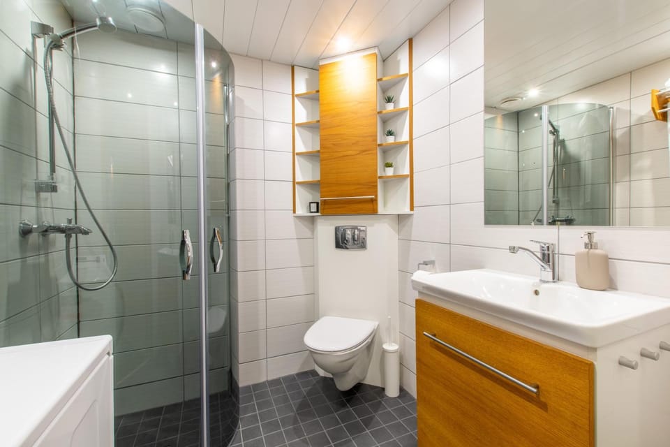 Shower, Toilet, Bathroom, washing machine