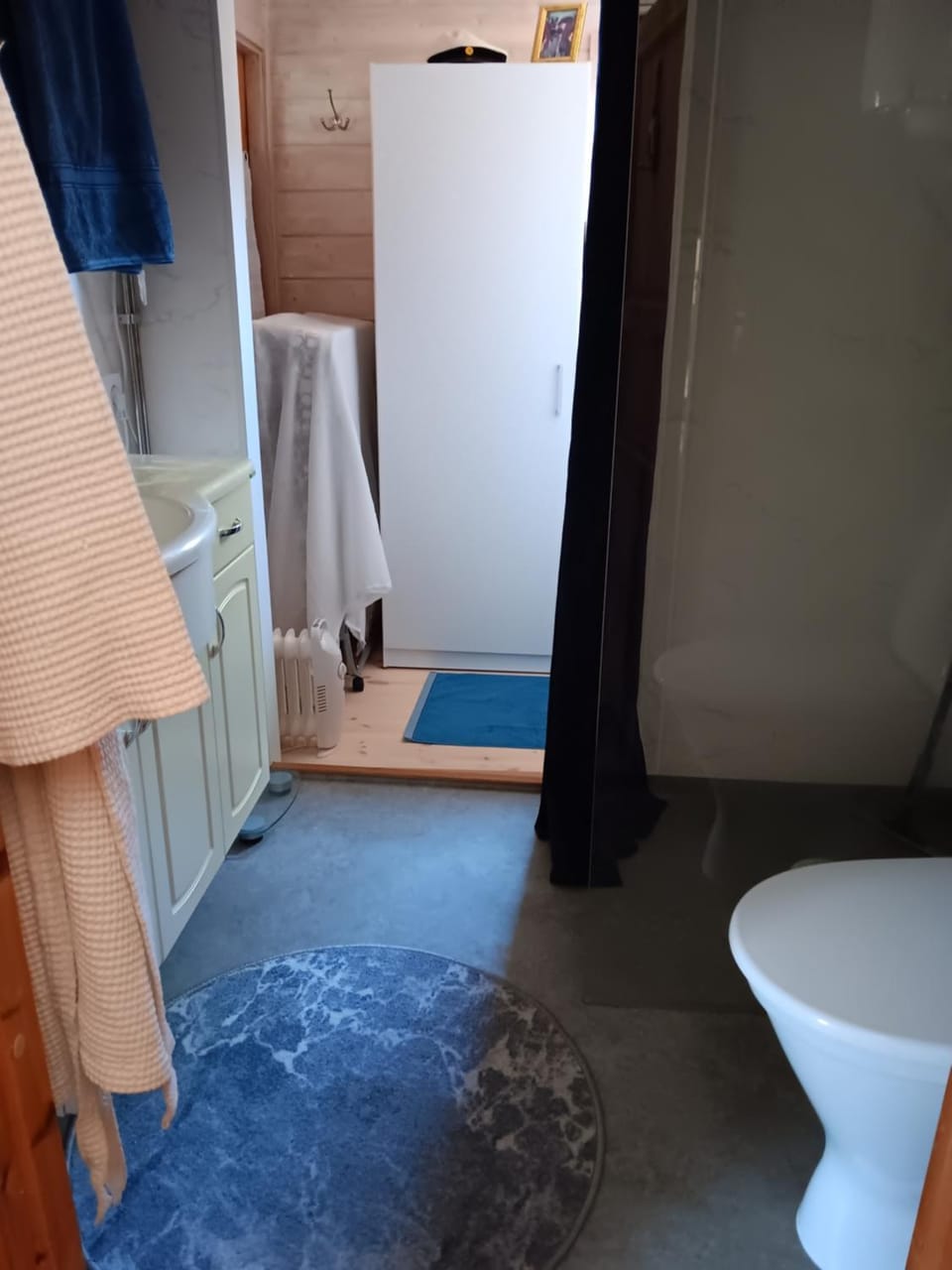 Shower, Toilet