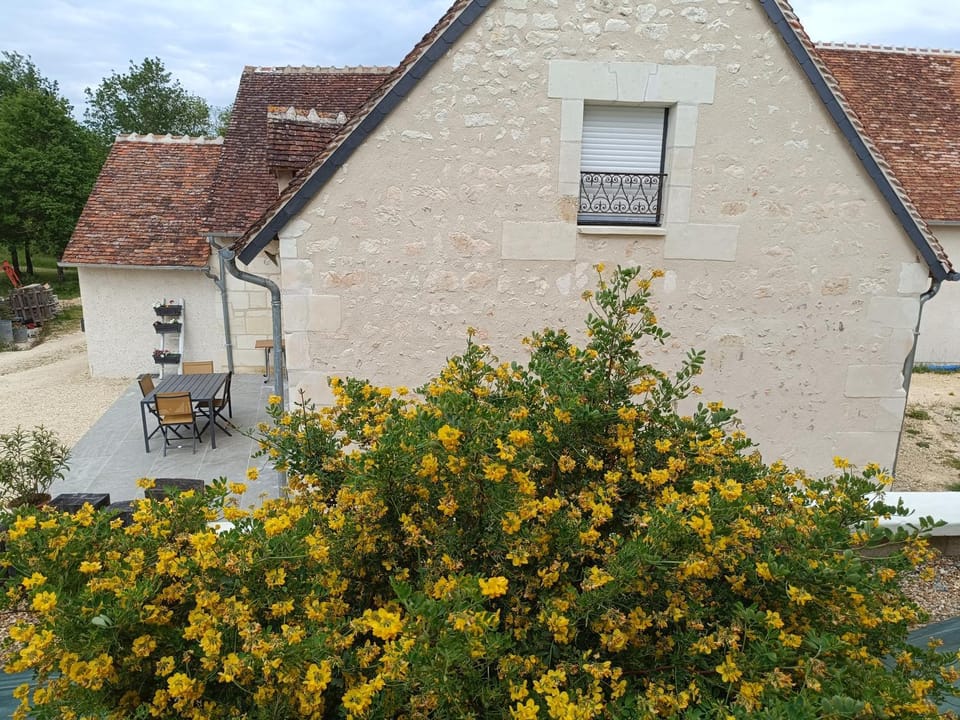 Gîte de la Grand Maison le Noyer House in Centre-Val de Loire