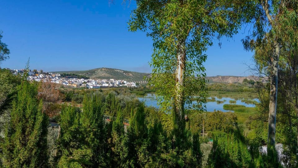 Lake view