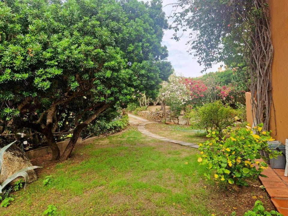 Spring, Day, Natural landscape, Garden, Garden, Garden view