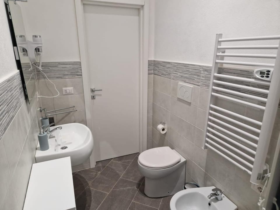 Toilet, Bathroom, bidet
