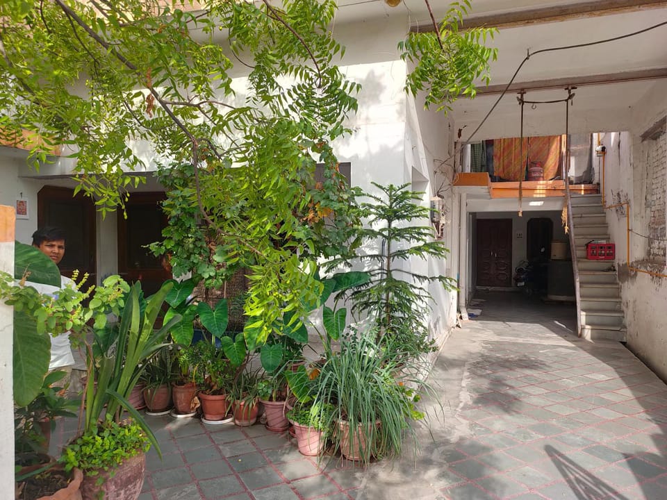 Garden view