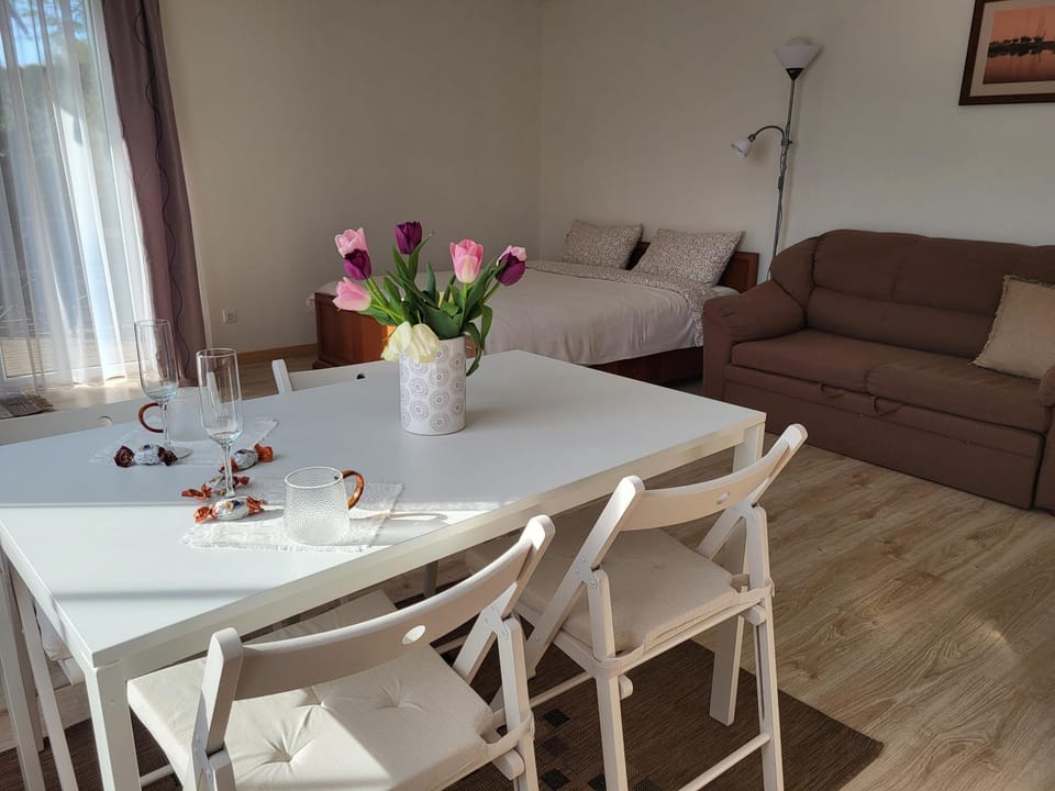 Diamond Beach Bungalo House in Palanga