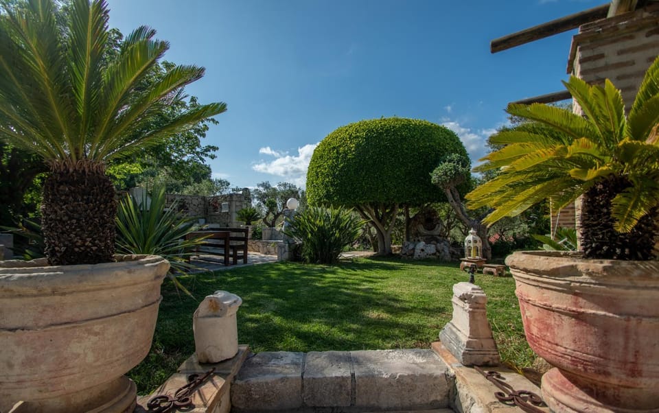 Spring, Day, Garden, Garden view