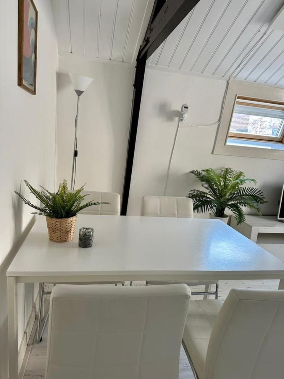 Ozzy's Beach House Apartment in Zandvoort