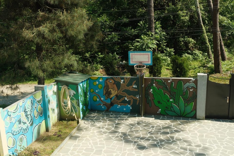 Spring, Natural landscape, Street view