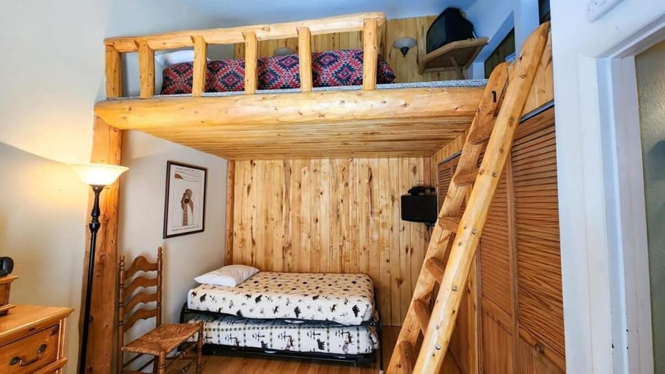 2BDR Walk to Ski Lifts and Main St House in Breckenridge