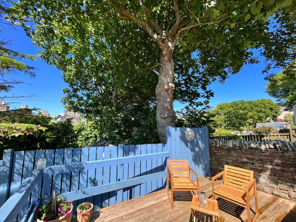 Patio, Day, Garden, Garden view