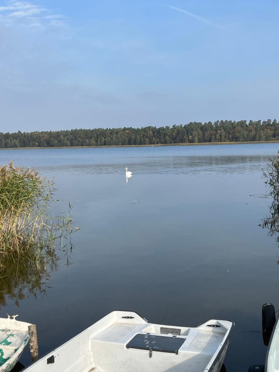 Sosnowe Apartamenty - Marina 2 Apartment in Poland
