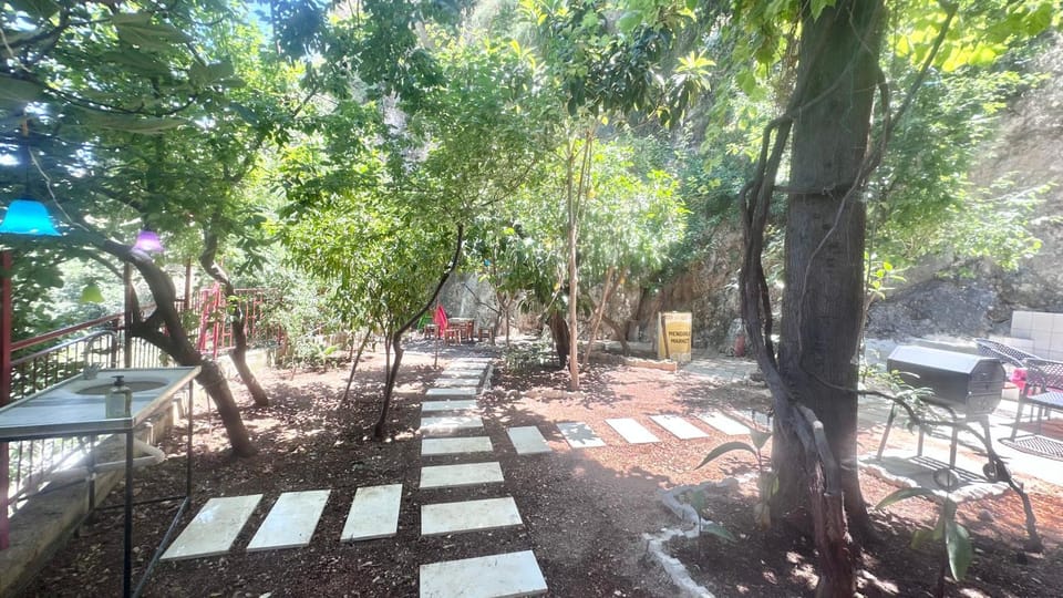Natural landscape, Garden, Garden view
