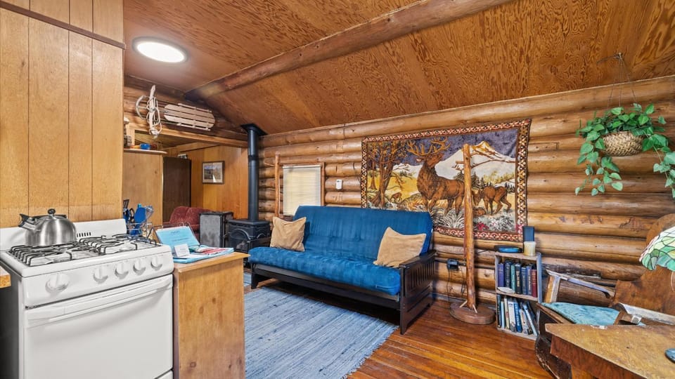 Coal Creek Cabin Cabin in Red Lodge