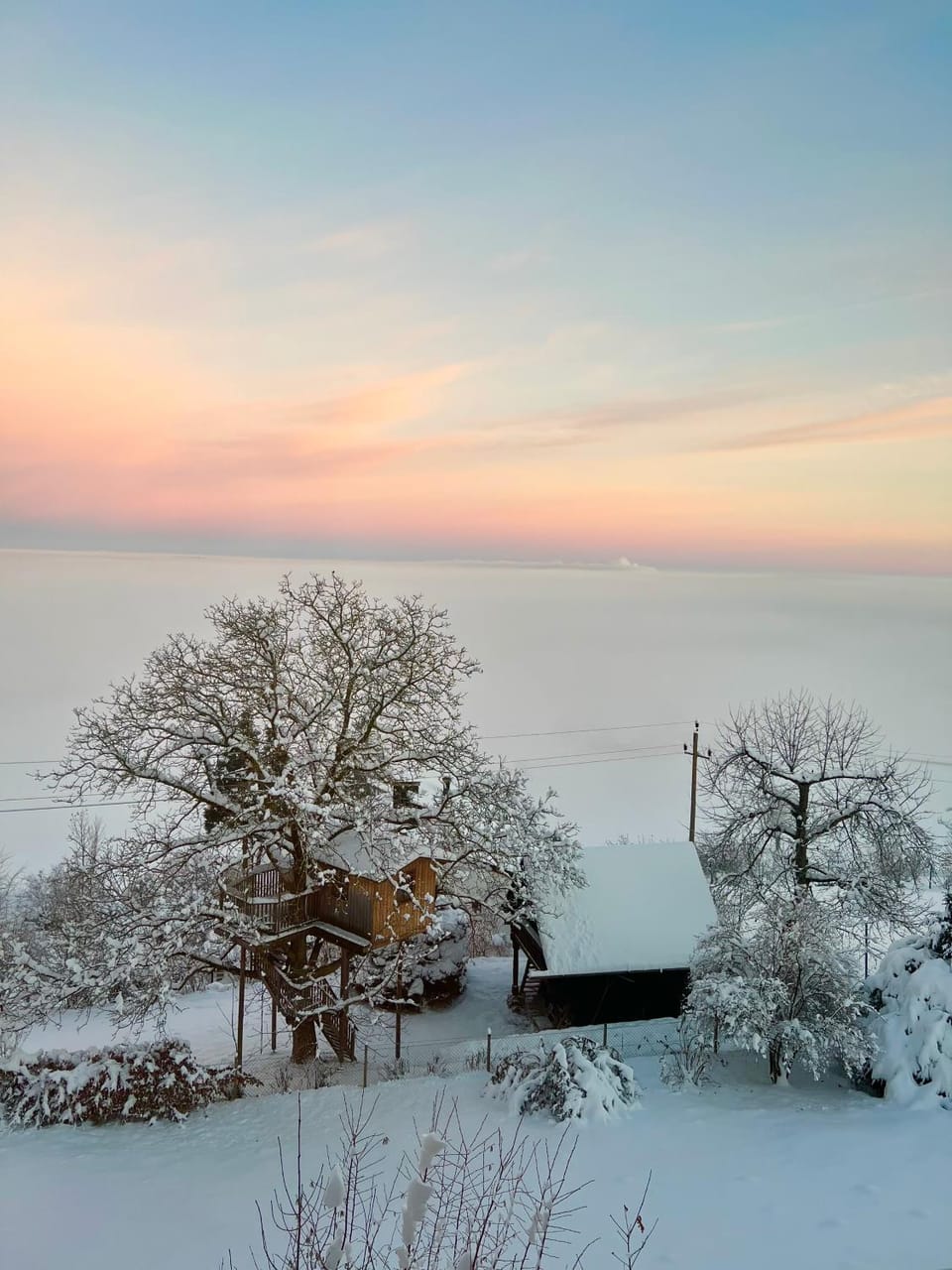 Winter