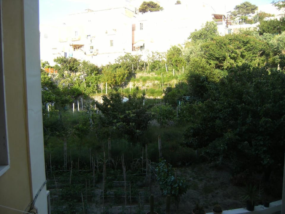 Blu Mare Bed and Breakfast in Ponza