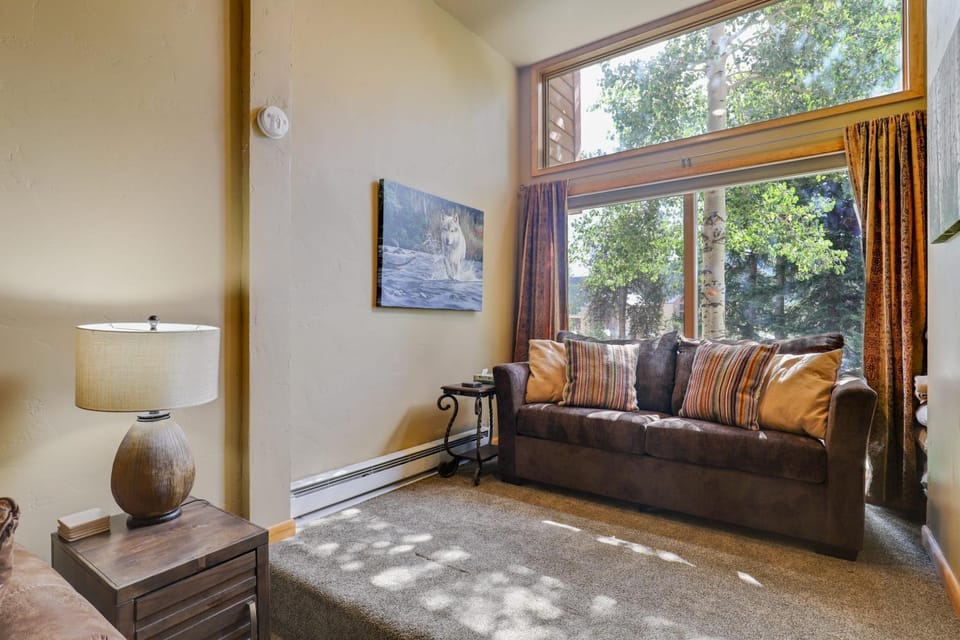 Ski in Ski Out Cedars Chalet 2BR and Close to Everything House in Breckenridge