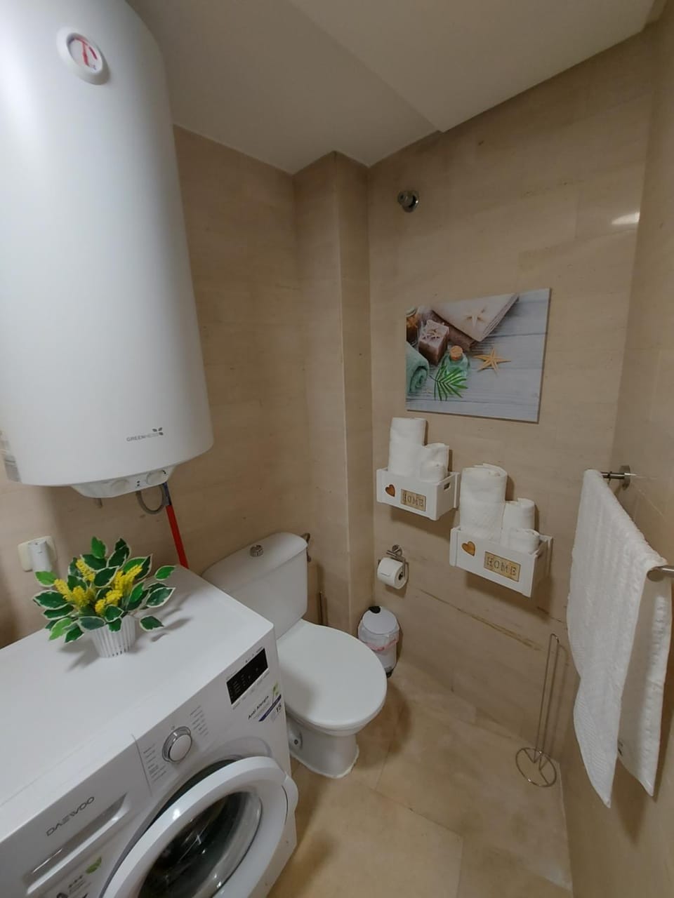 Toilet, washing machine