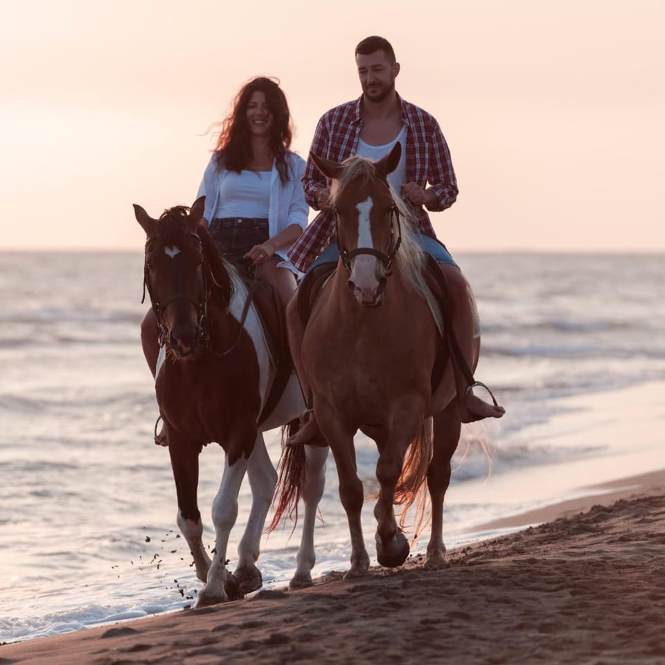 People, Natural landscape, Horse-riding, Beach, Animals