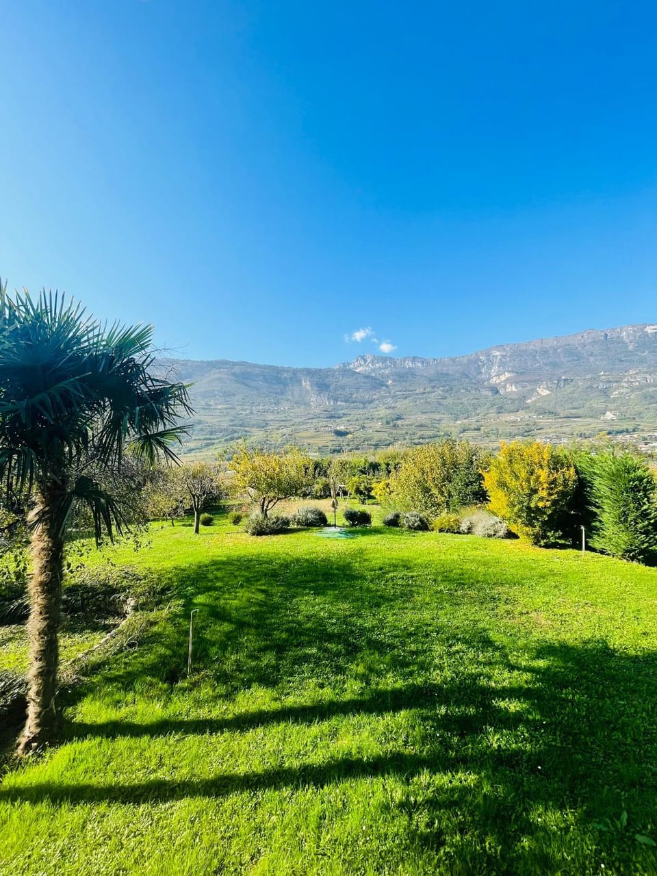 View (from property/room)