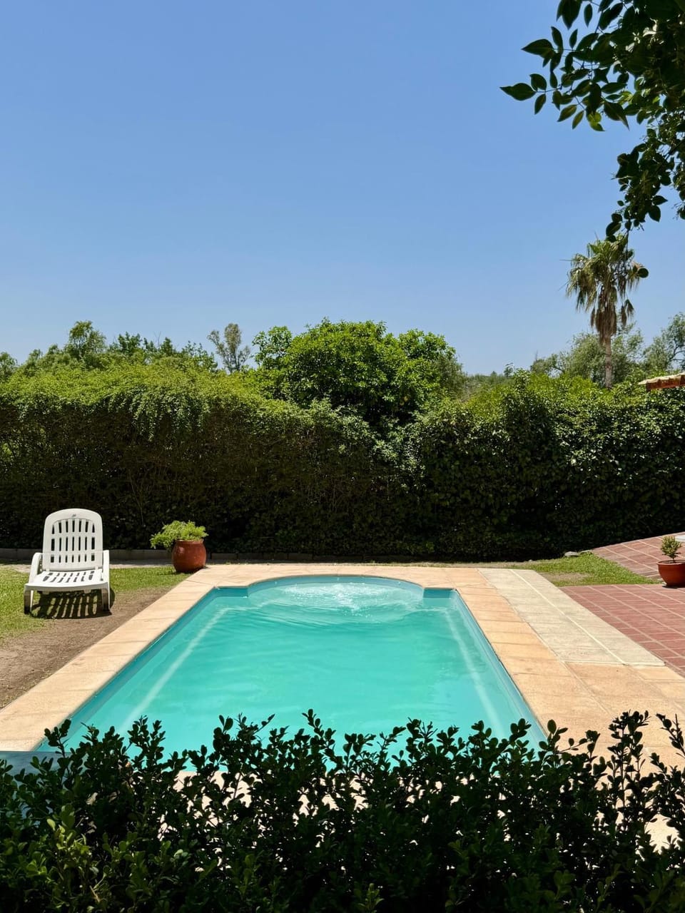Day, Garden, Garden view, Pool view, Swimming pool, sunbed