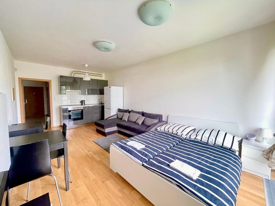 Bed, Kitchen or kitchenette, Living room, Photo of the whole room, Seating area, Dining area, Bedroom, minibar, oven, pet friendly, stove