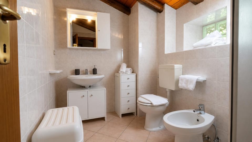 Shower, Toilet, Bathroom, bidet, towels