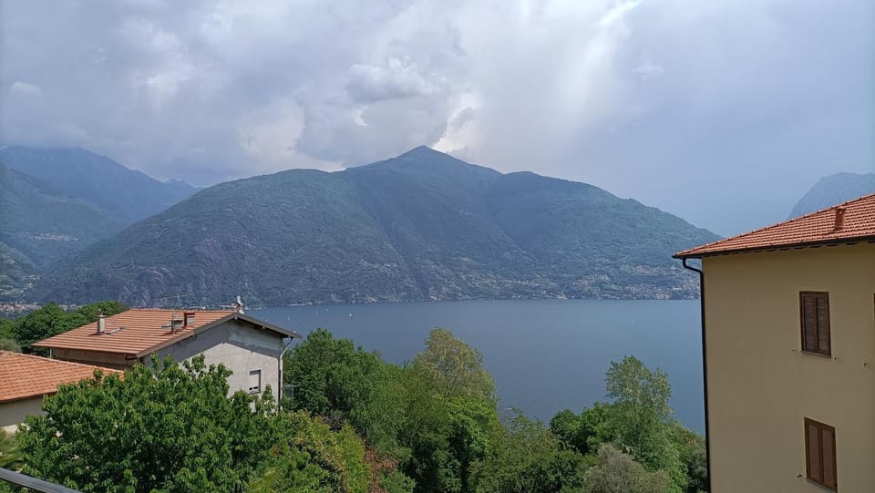 Lake view