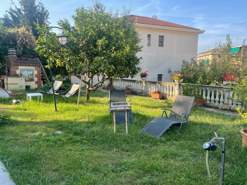 Garden, sunbed