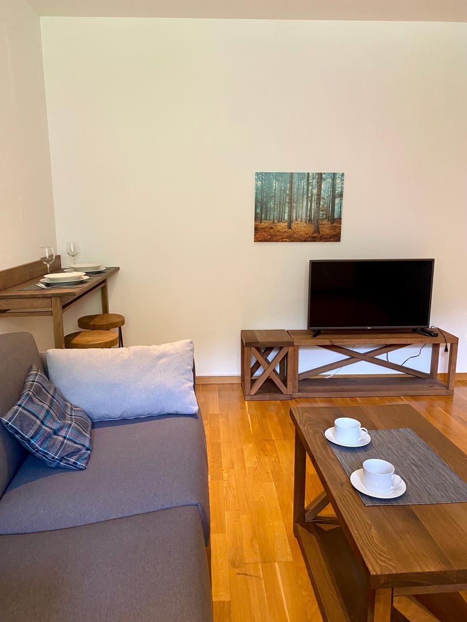 Apartman 20, Brzeće Centar Apartment in Serbia