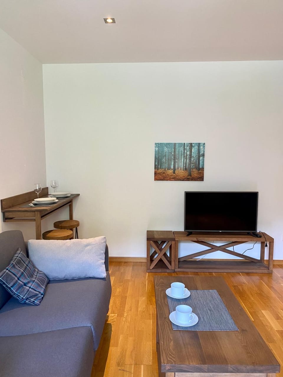 Apartman 20, Brzeće Centar Apartment in Serbia