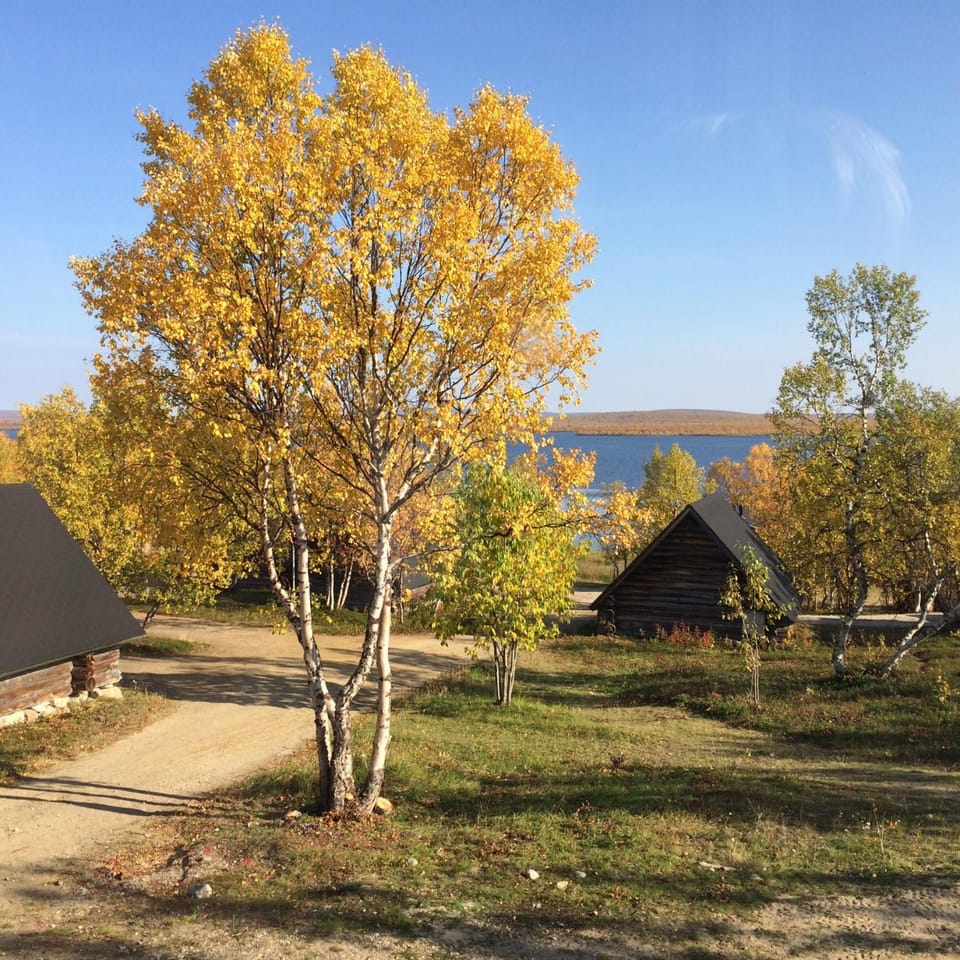 Property building, Autumn