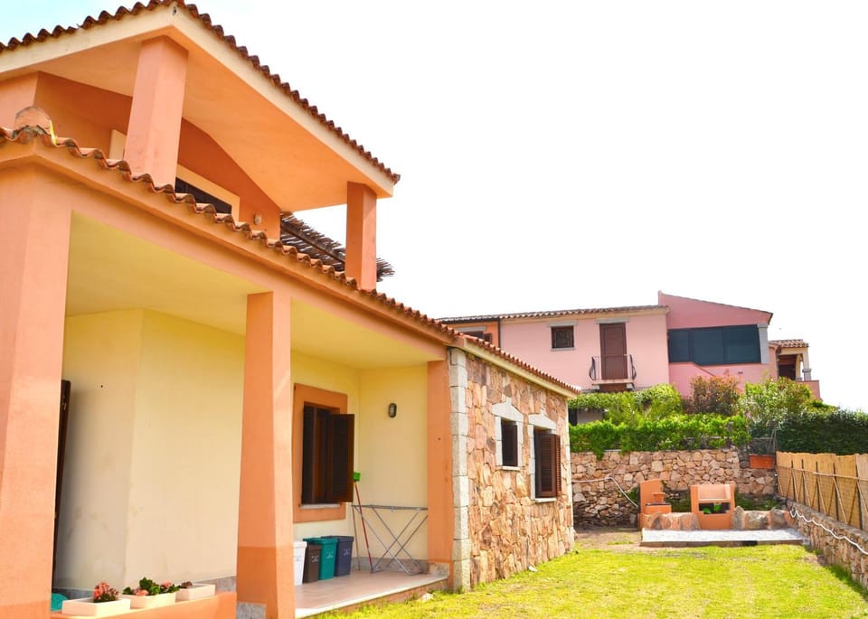 Patio, Garden