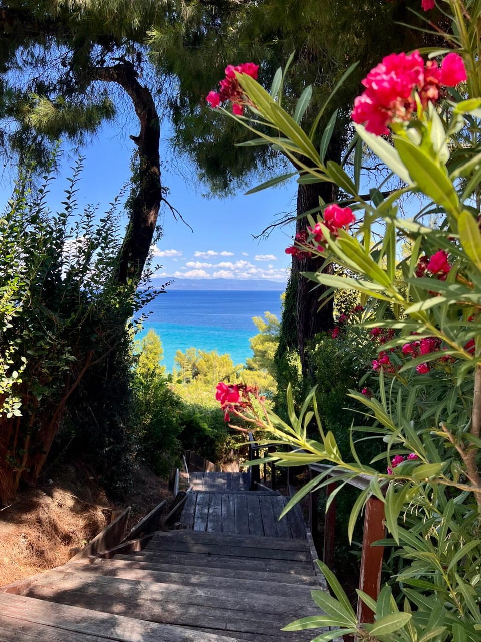 Cute house by the sea House in Halkidiki