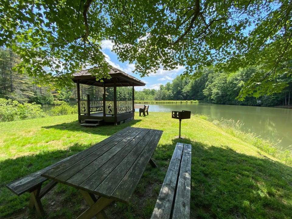 Beary Blessed Cabin Cabin in Watauga