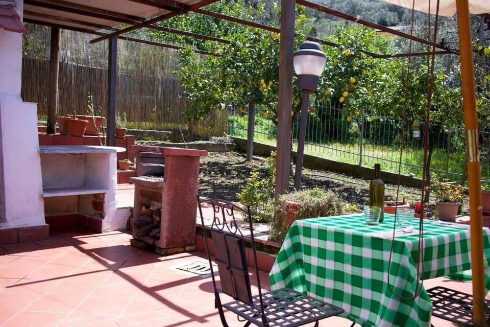 Patio, Garden
