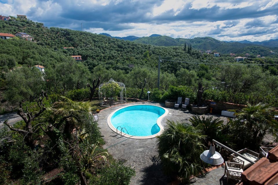 Natural landscape, Bird's eye view, Pool view, Swimming pool