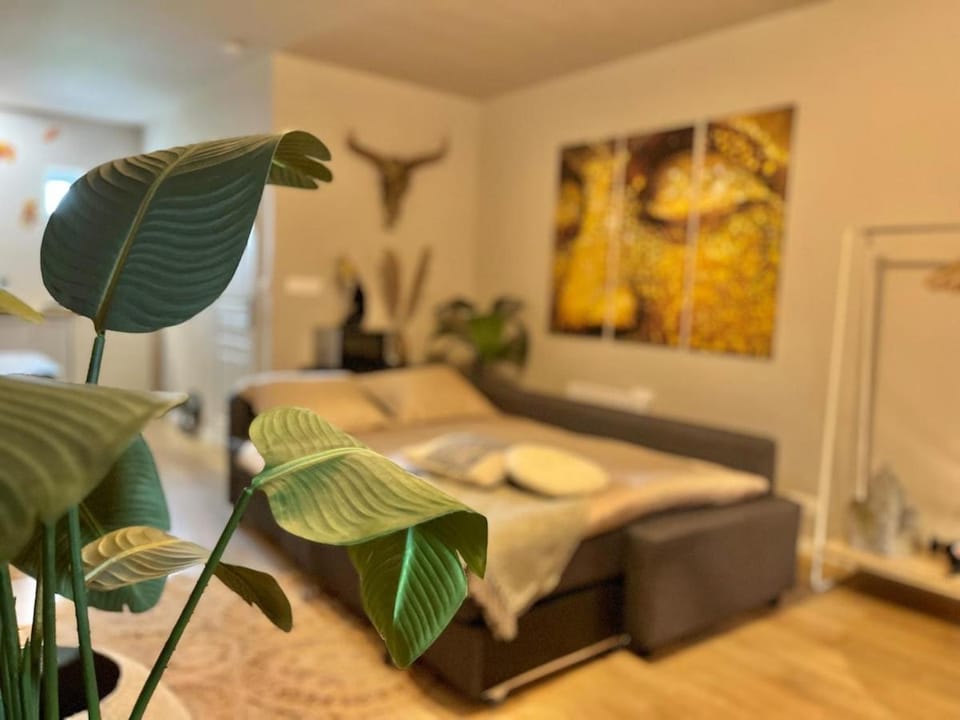 "Gîte Ibiza" - AIRCO Apartment in Auvergne-Rhône-Alpes