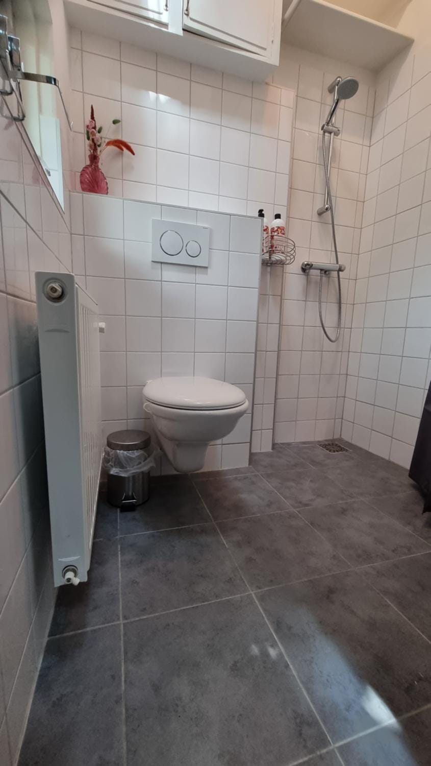 Toilet, Property building, Bathroom