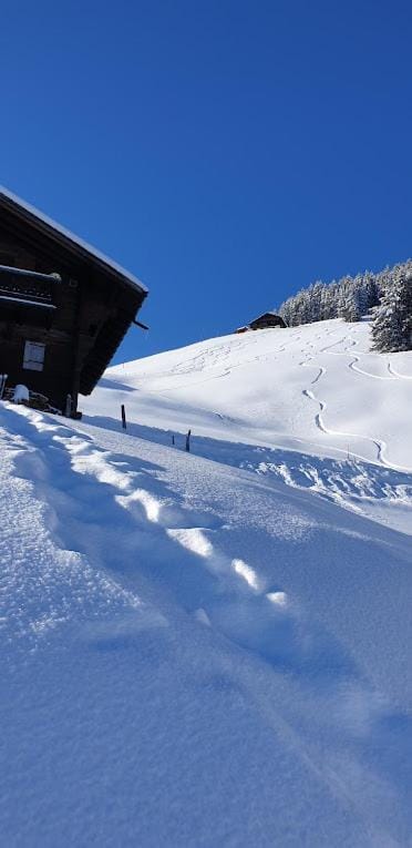 Natural landscape, Winter, Skiing